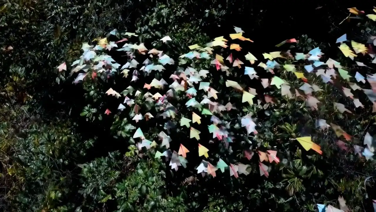 Thumbnail ofA flock of paper airplanes flutters through a dense jungle's video