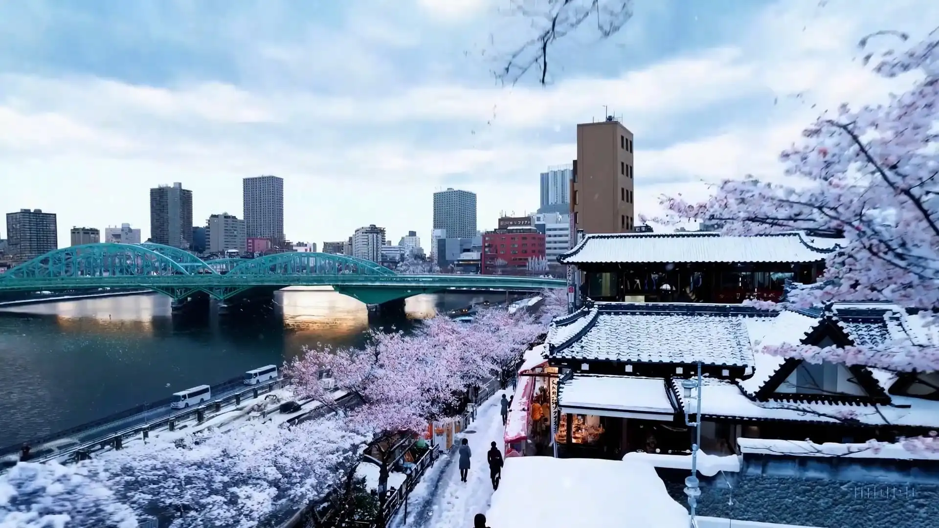 Thumbnail ofBeautiful, snowy Tokyo city is bustling's video